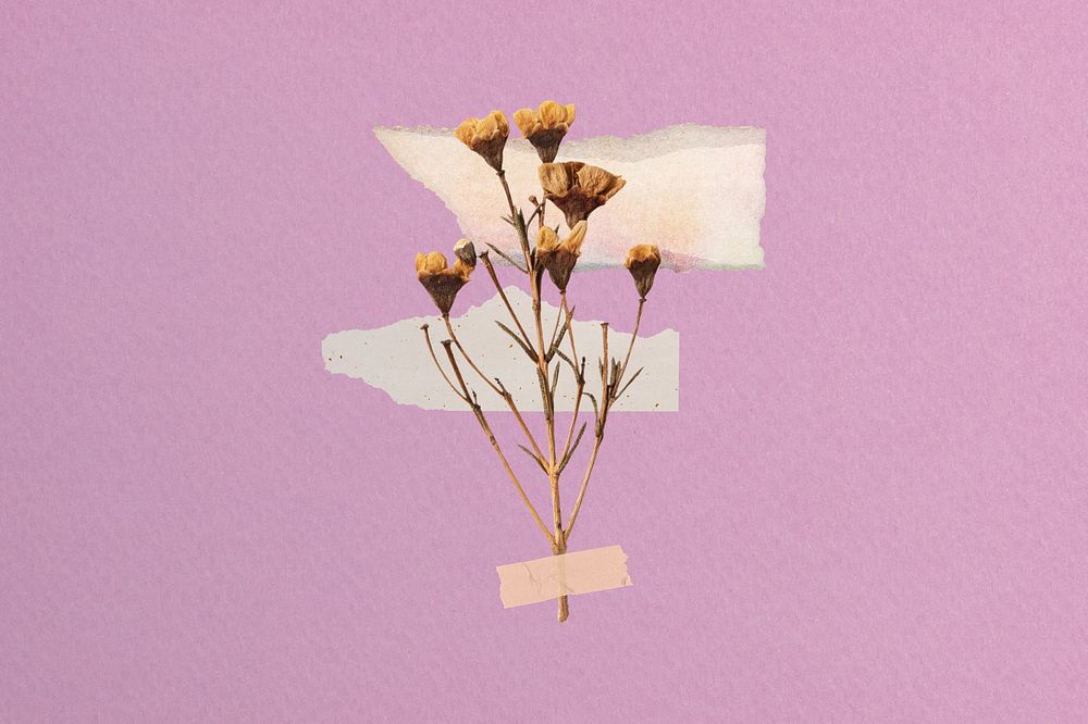 Aesthetic dried flower taped collage art