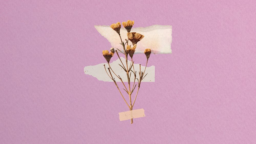 Desktop wallpaper aesthetic dried flower taped, pink background