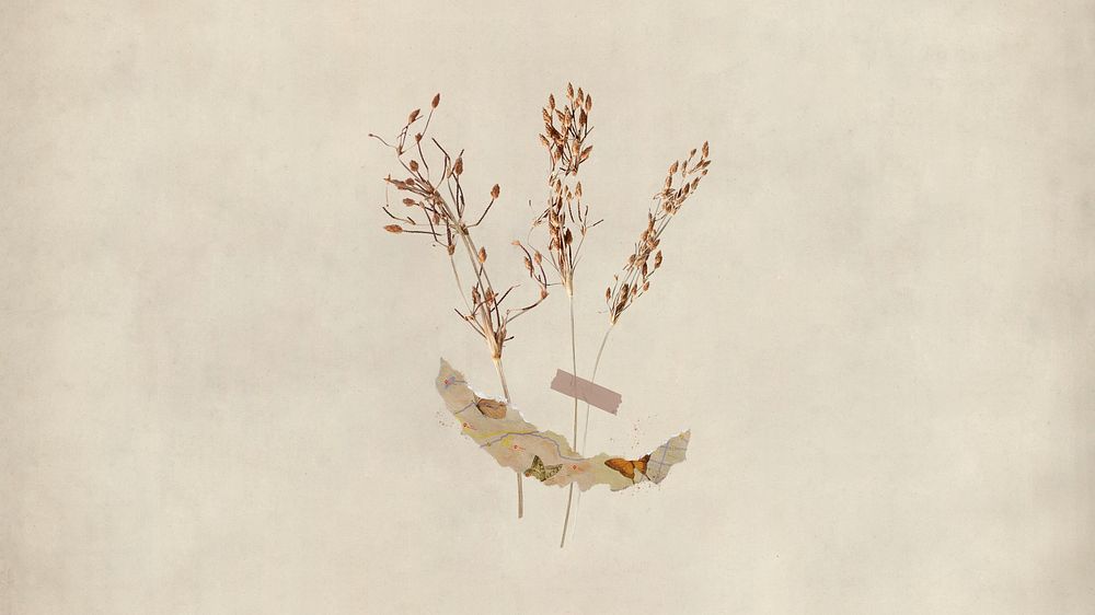 Desktop wallpaper aesthetic dried flower craft, beige background