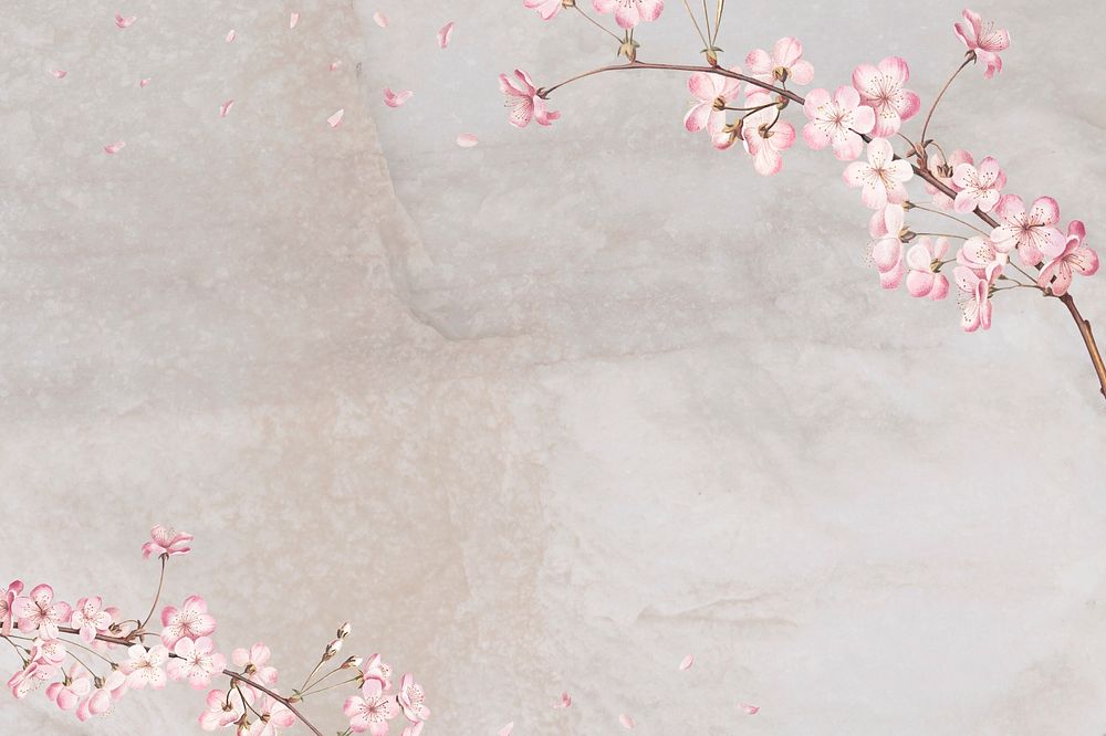 Pink flower, cherry blossom background
