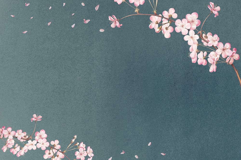 Pink flower, cherry blossom background