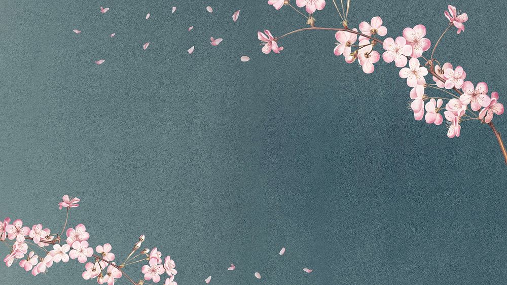 Sakura flower green desktop wallpaper