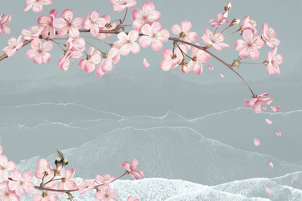 Pink flower, cherry blossom background