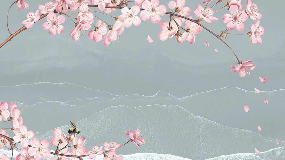 Sakura branch, green desktop wallpaper