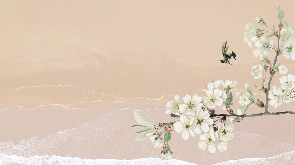 White flowers, earth tone desktop wallpaper