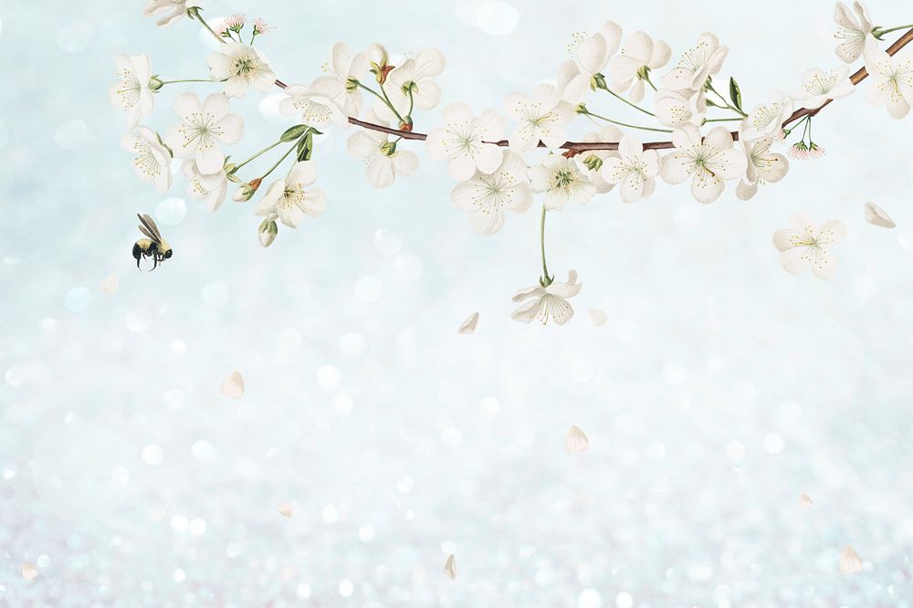 White flower illustration background