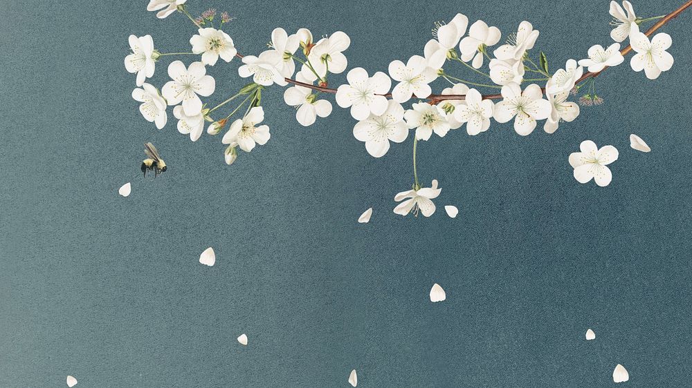Green, white flower illustration desktop wallpaper