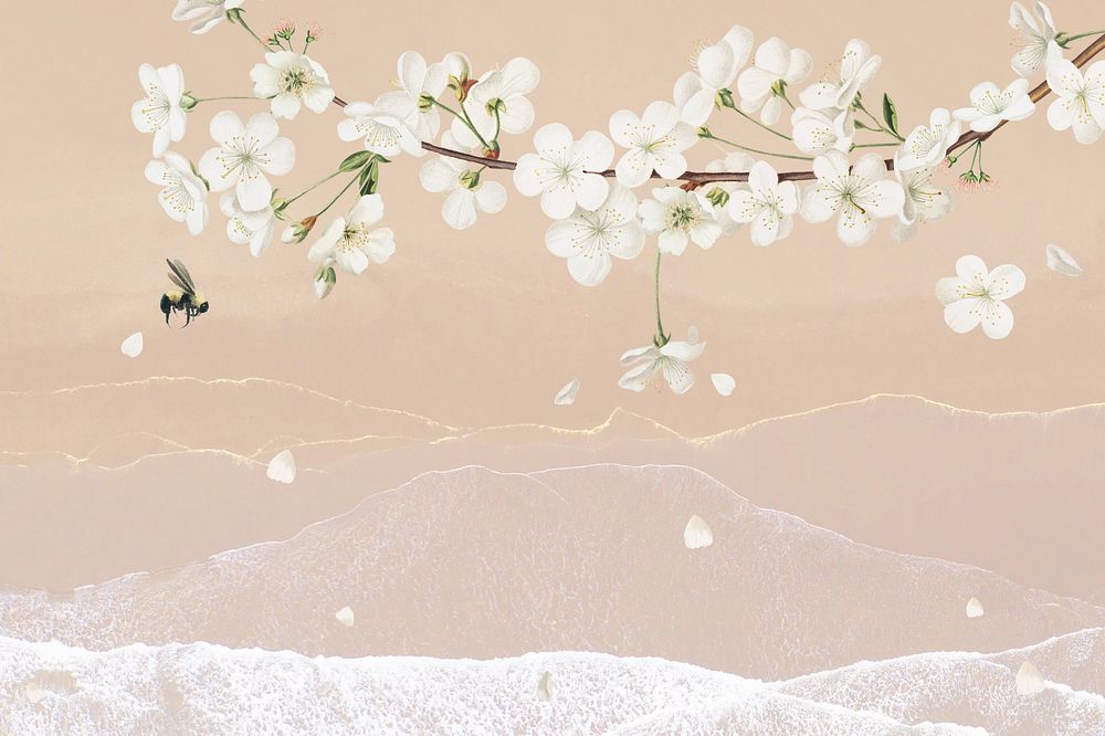 White flower vintage illustration background