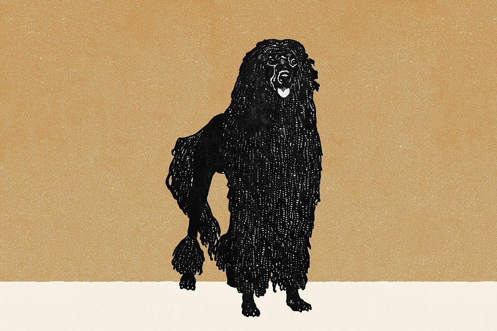 Vintage poodle illustration