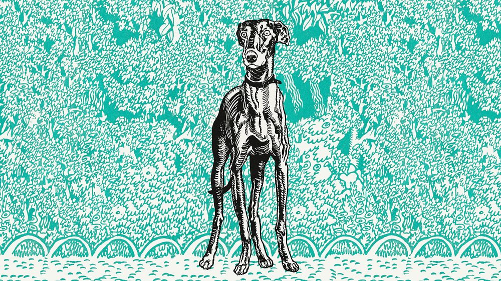 Vintage greyhound illustration desktop wallpaper
