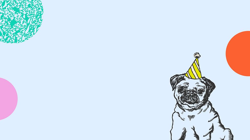 Birthday pug, blue desktop wallpaper