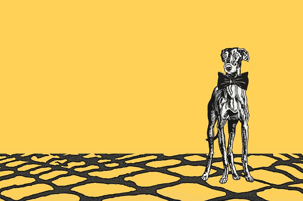 Vintage greyhound illustration  background image