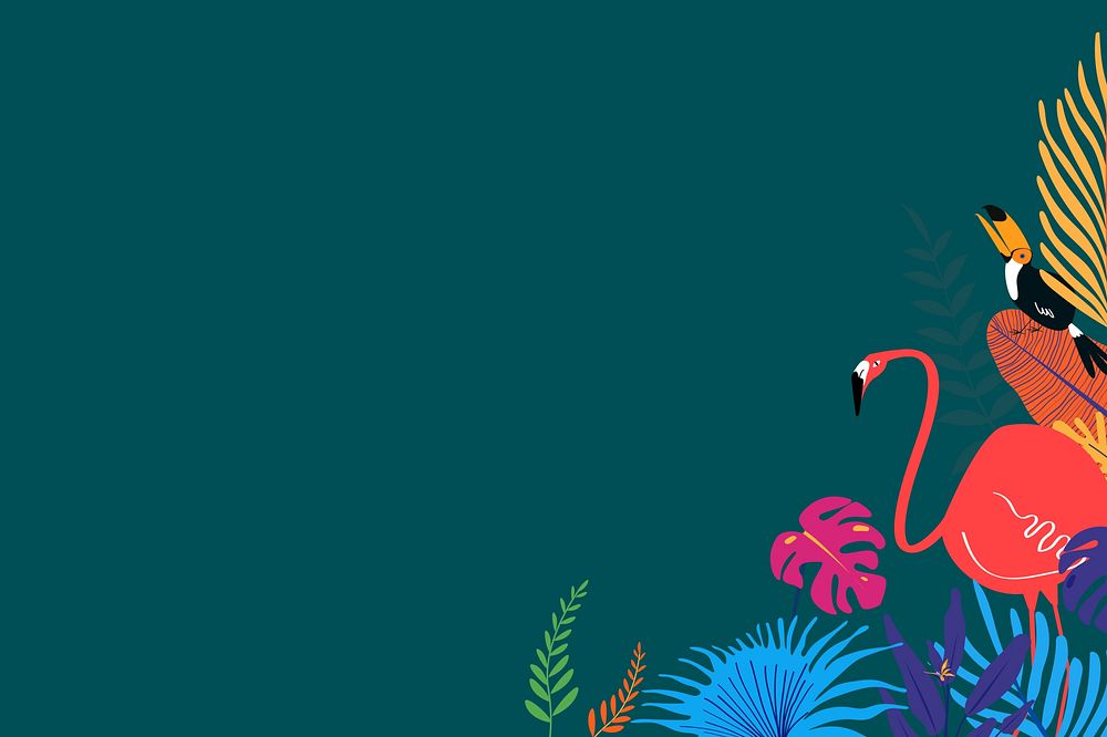 Colorful tropical flamingo bird background, green design