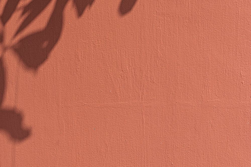 Red wall textured background, leaf shadow border