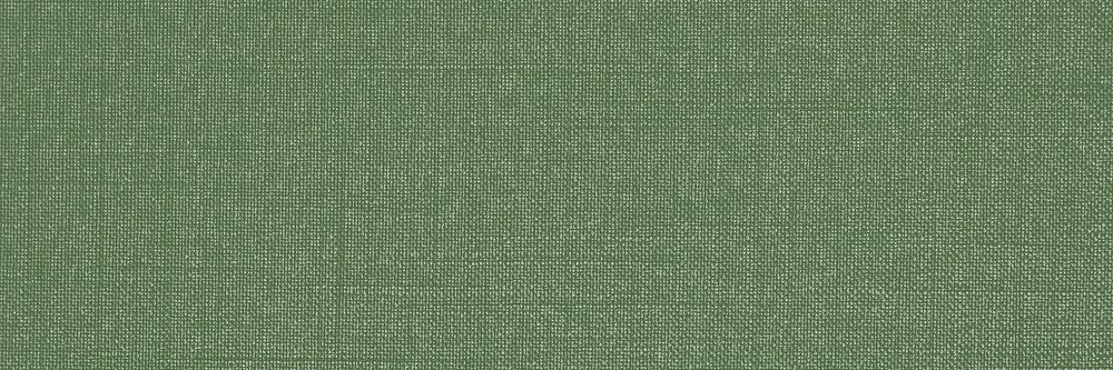 Green canvas textured background