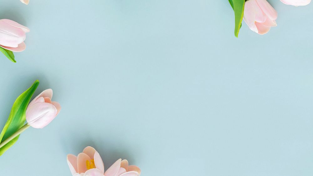 Aesthetic tulip flowers desktop wallpaper, pastel blue background
