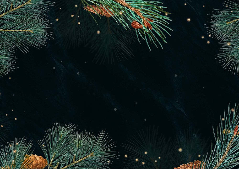 Dark Christmas background, pine leaf border