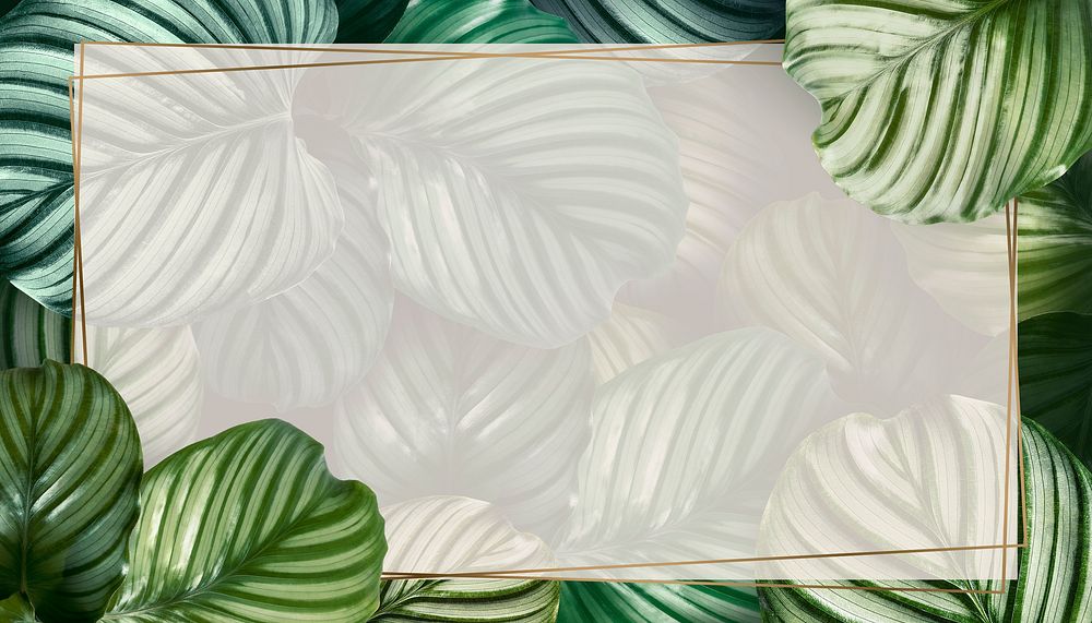 Tropical leaf frame background, botanical design