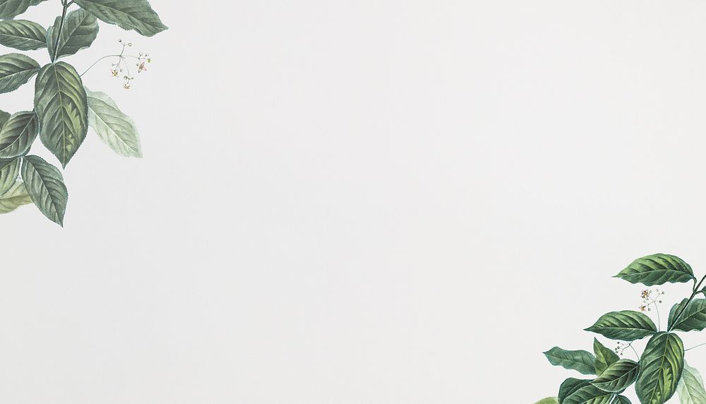 Off-white background, vintage leaf border