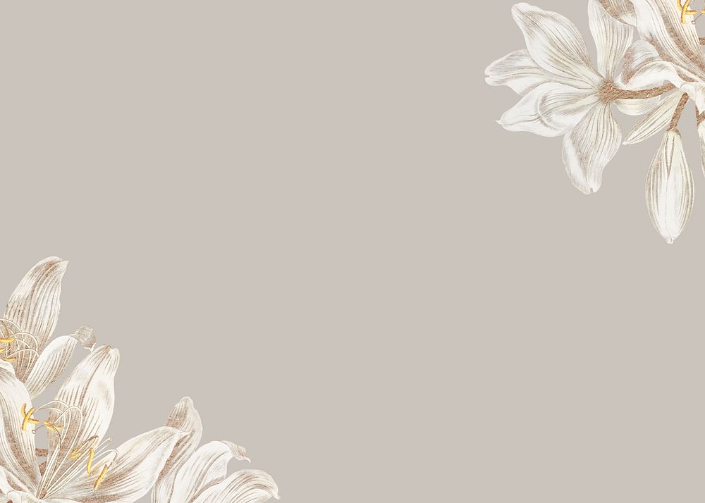 Vintage white flower background, greige border