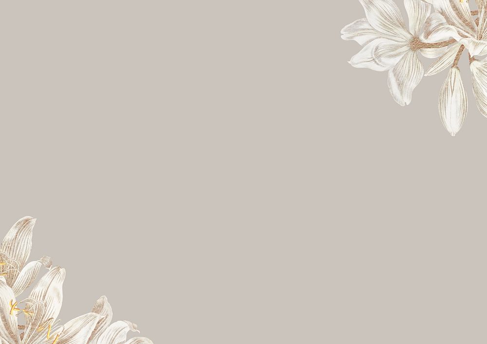 Vintage white flower background, greige border
