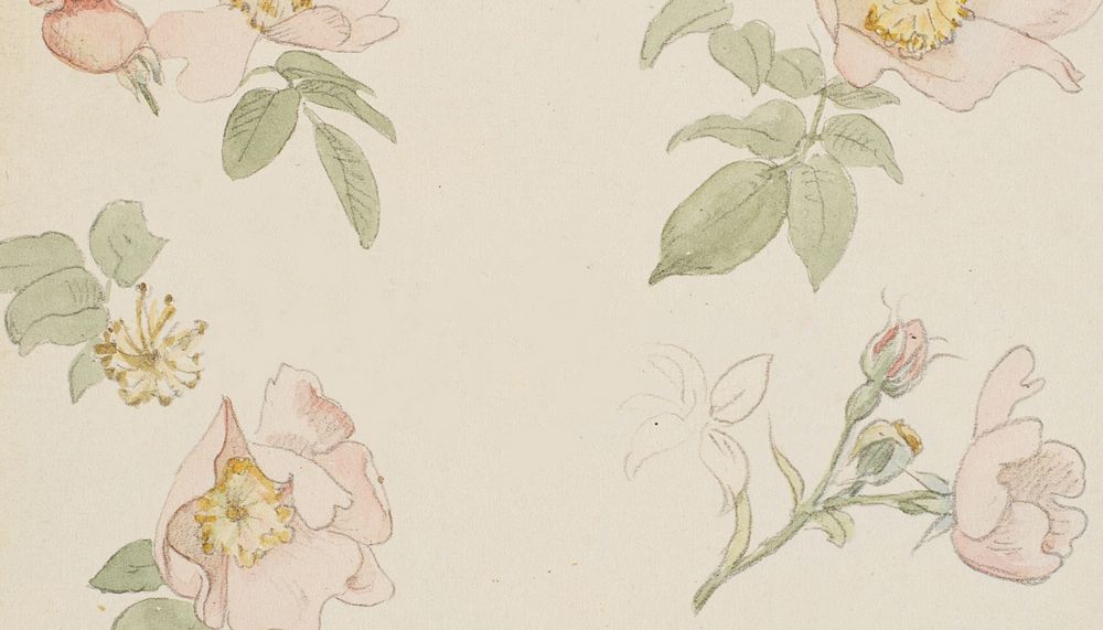 Vintage flower background, beige paper design