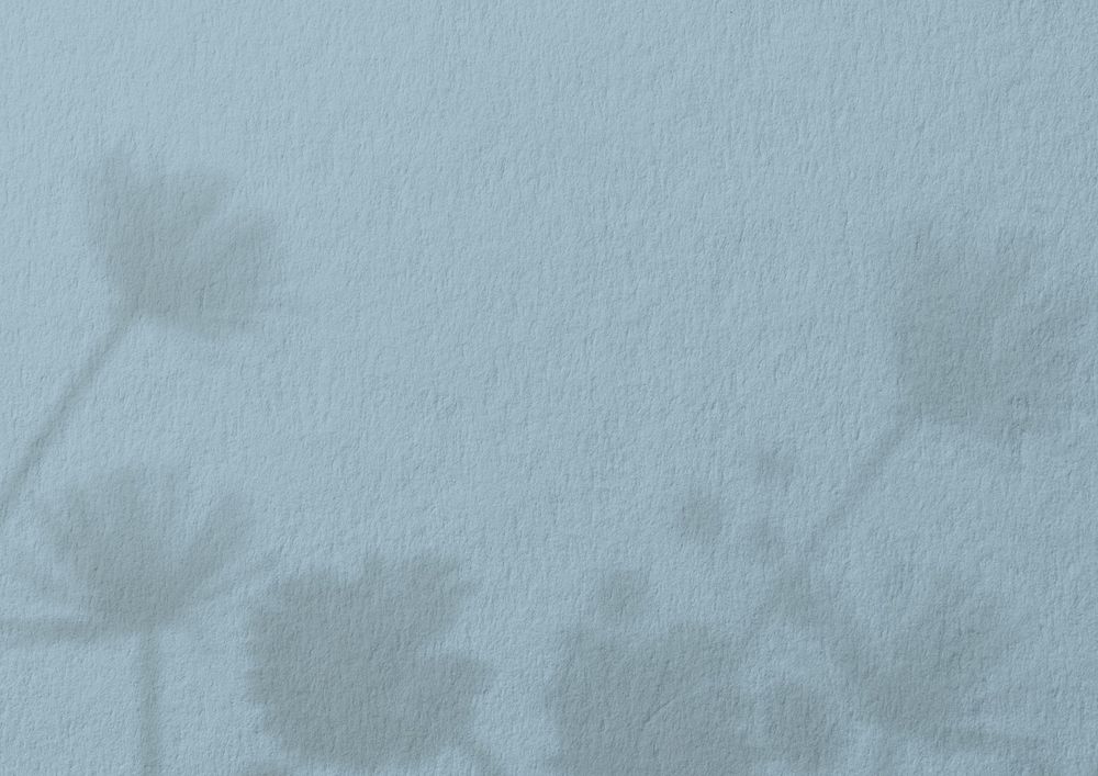 Blue wall textured background, flower shadow border