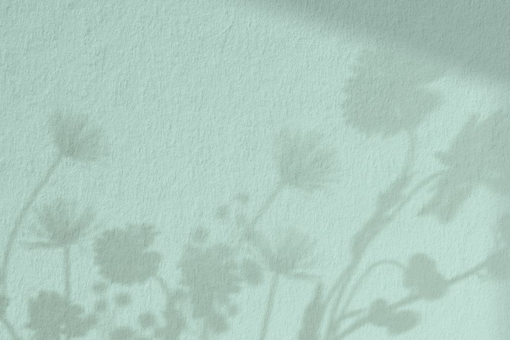 Green wall textured background, flower shadow border