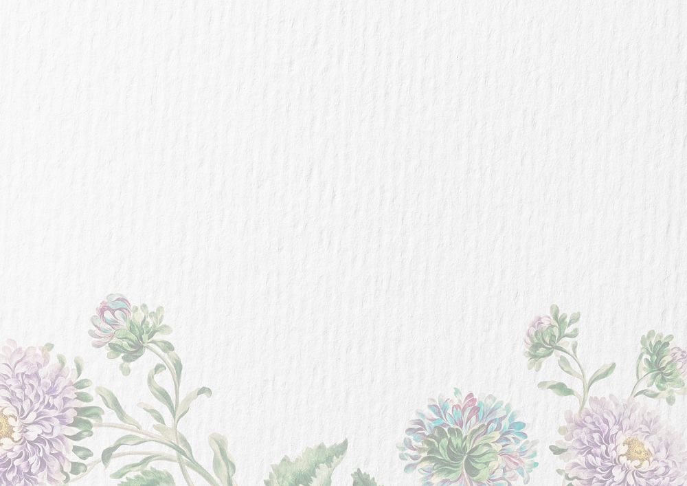 White paper textured background, flower border