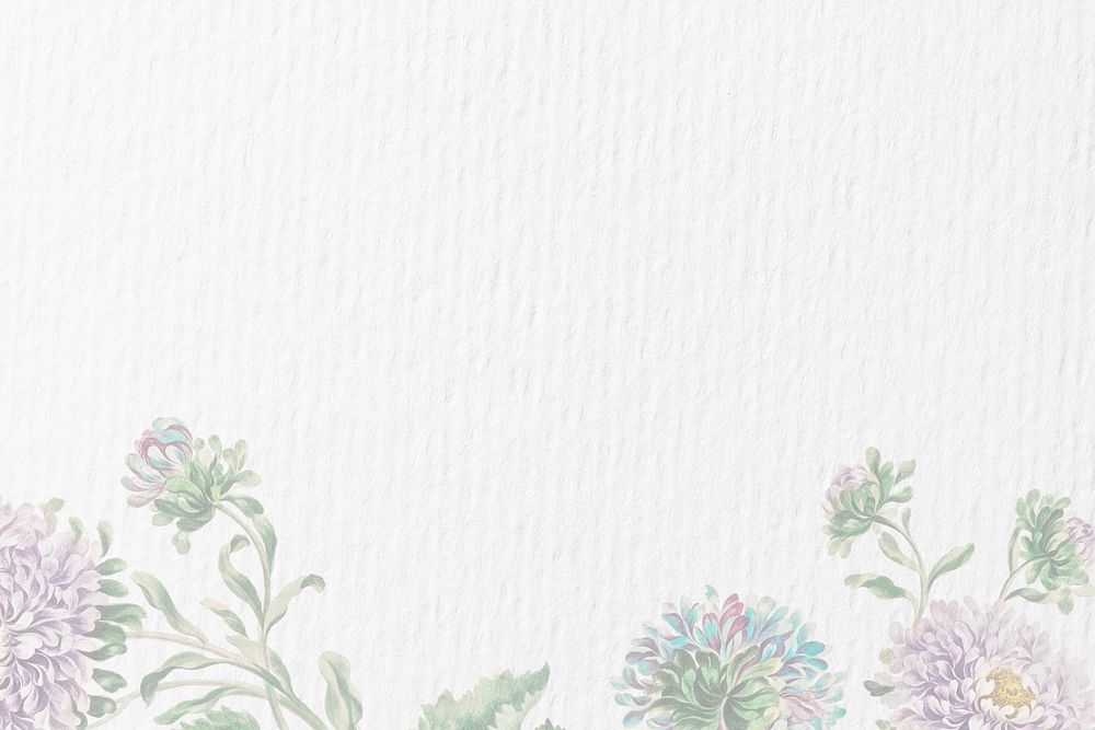 White paper textured background, flower border