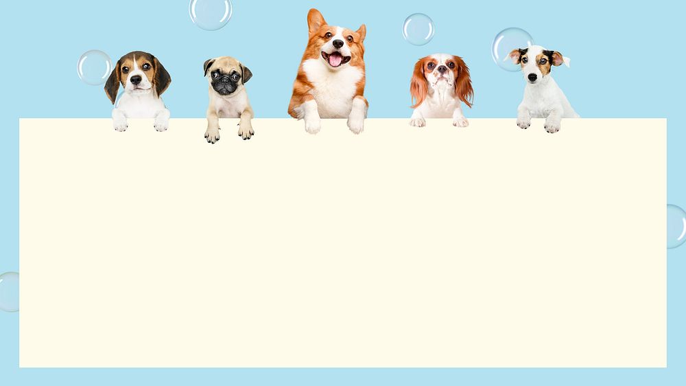 Cute puppies frame desktop wallpaper