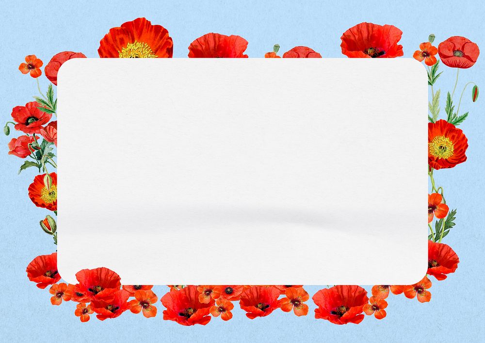 Red poppy frame, Summer flower design