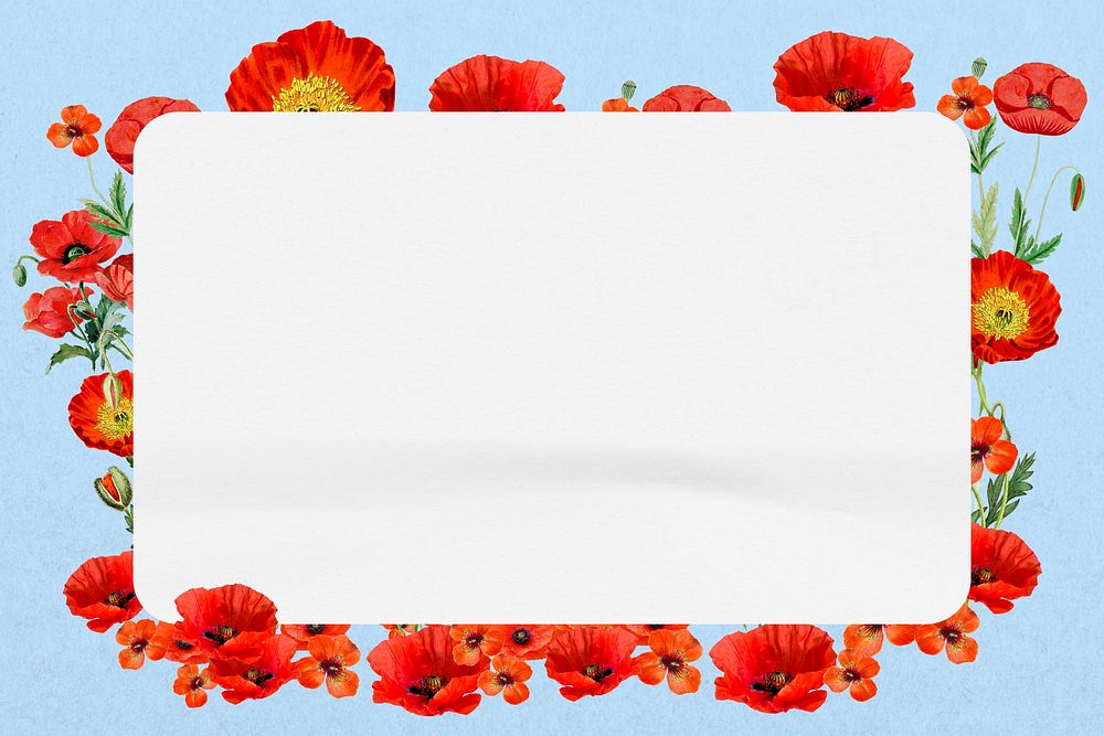 Red poppy frame, Summer flower design psd