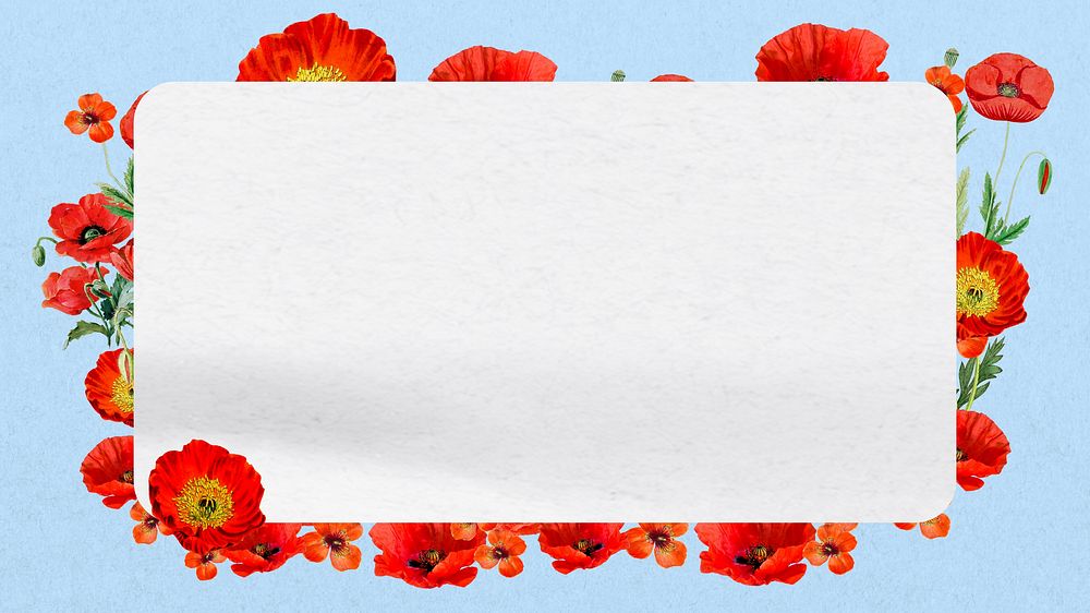 Red poppy frame HD wallpaper, Summer flower design