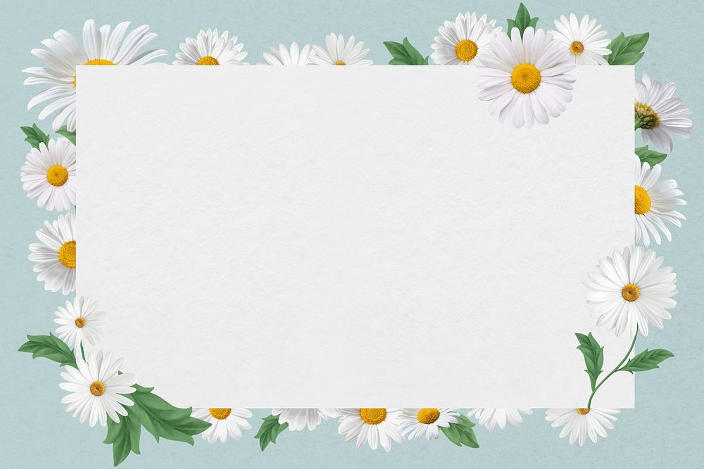 White daisy frame, Spring flower design psd