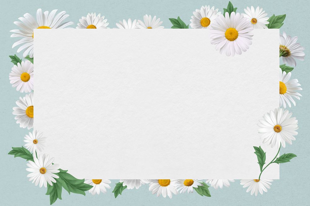 White daisy frame, Spring flower design