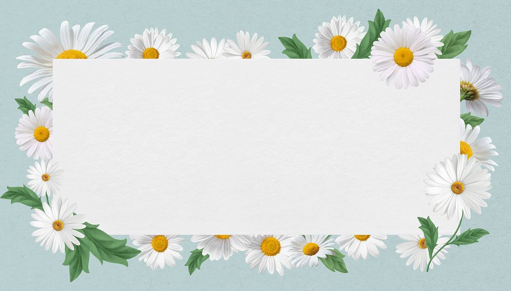 White daisy frame, Spring flower design