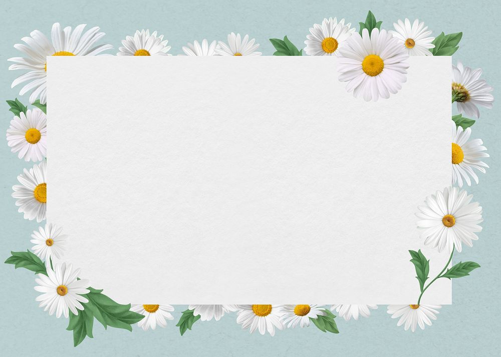White daisy frame, Spring flower design