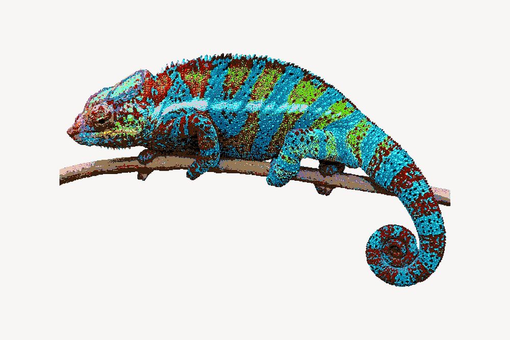Colorful chameleon animal clip art vector. Free public domain CC0 image.