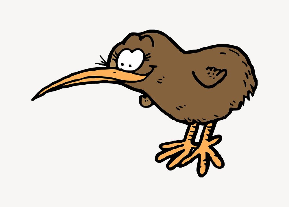 Kiwi bird illustration. Free public domain CC0 image.
