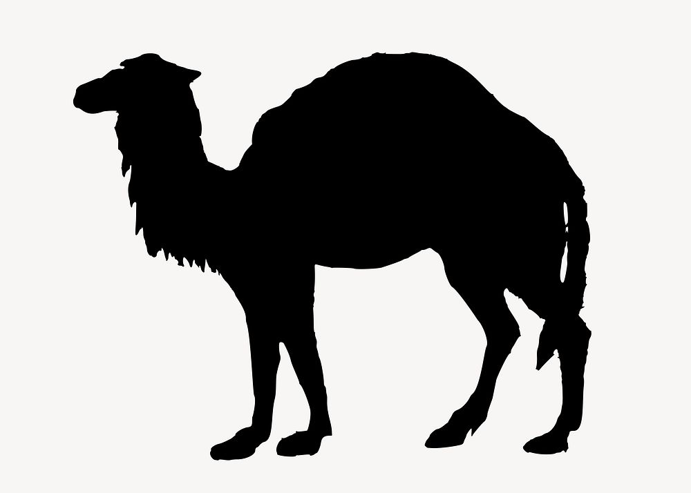 Camel collage element vector. Free public domain CC0 image.