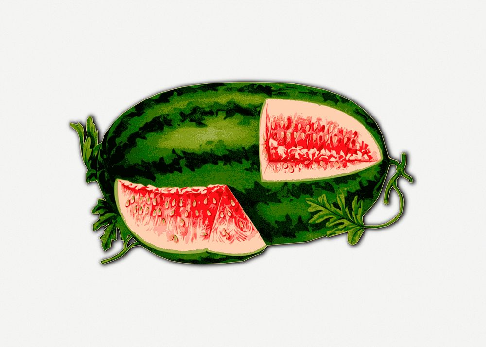 Watermelon clipart, illustration psd. Free public domain CC0 image.