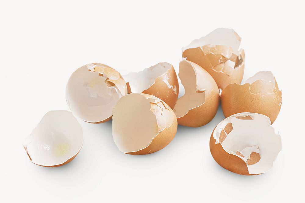 Egg shells, isolated design