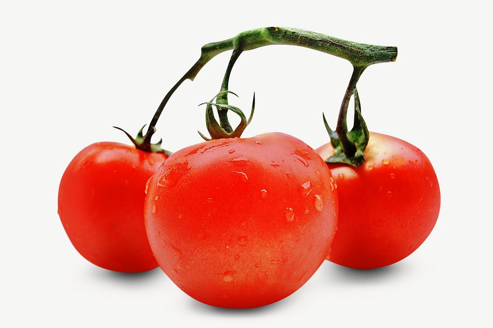 Fresh tomato design element psd