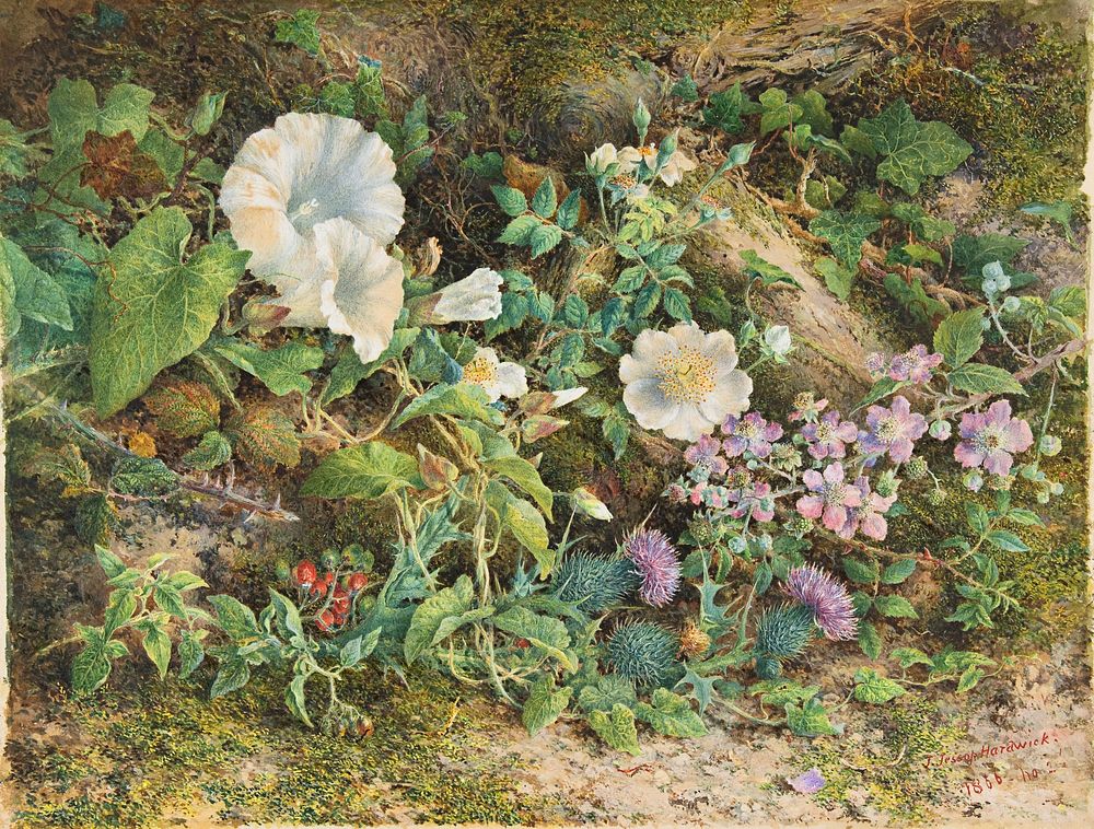 Flower Study by John Jessop Hardwick. Original public domain image from The Metropolitan Museum of Art. Digitally enhanced…