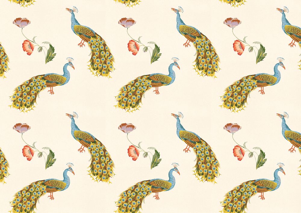 Peacock animal pattern  background. Remixed by rawpixel.