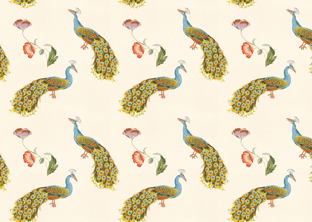 Peacock animal pattern background. Remixed by rawpixel.