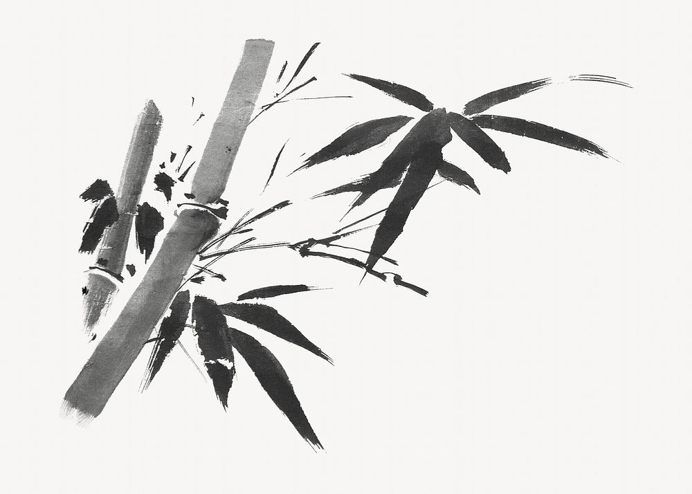 Bamboo tree, vintage botanical illustration by Sesshū Tōyō.  Remixed by rawpixel. 