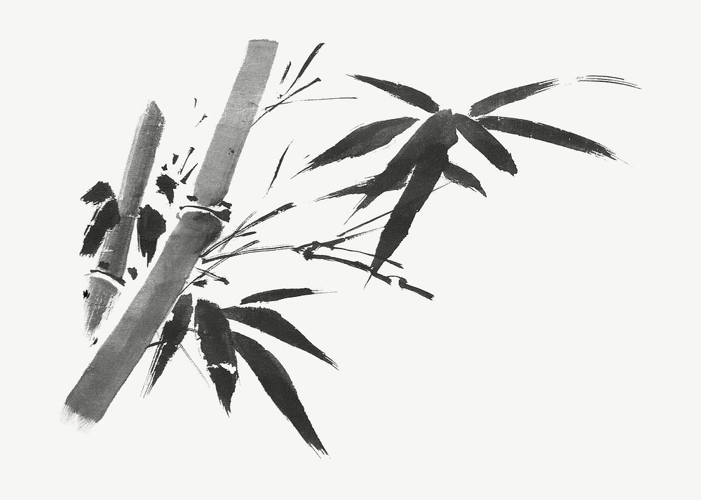 Bamboo tree, vintage botanical illustration by Sesshū Tōyō psd.  Remixed by rawpixel. 