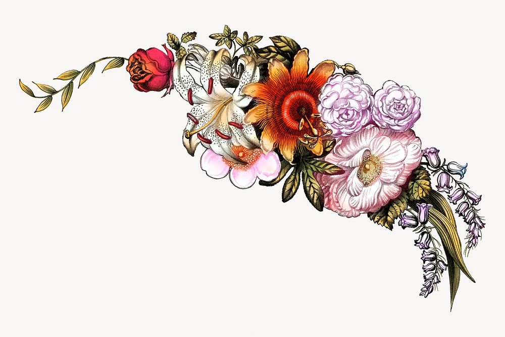 Vintage flower corner element, botanical illustration by Currier & Ives.  Remixed by rawpixel. 